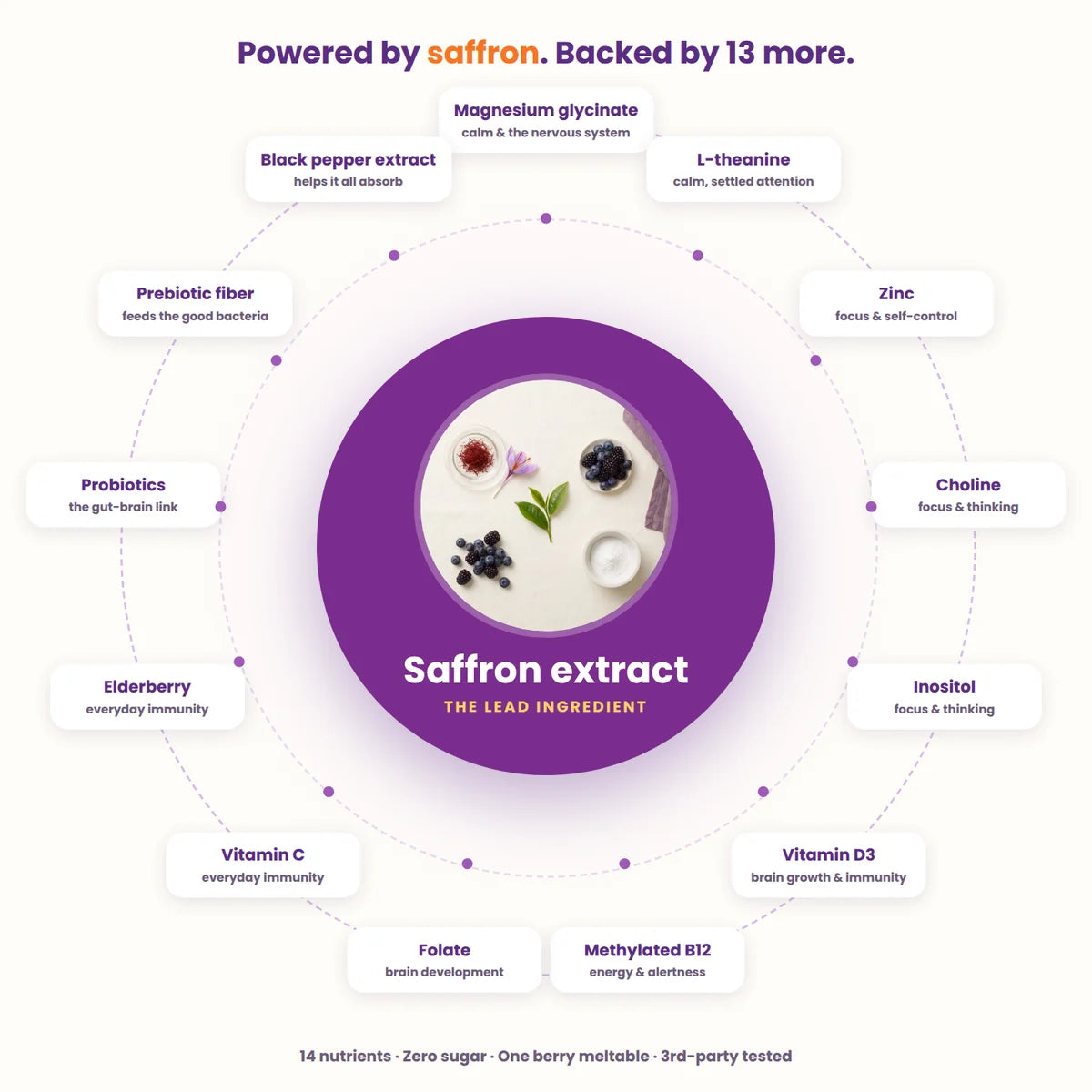 Powered by saffron, backed by 13 more: the 14 nutrients in every Bloomwise meltable