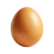 A single brown egg