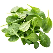 Fresh spinach leaves